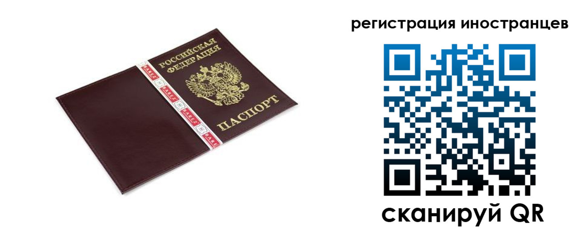 прописка иностранных граждан в Алтае